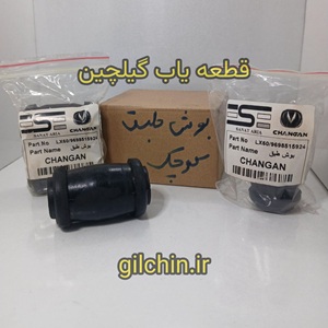 بوش طبق کوچک